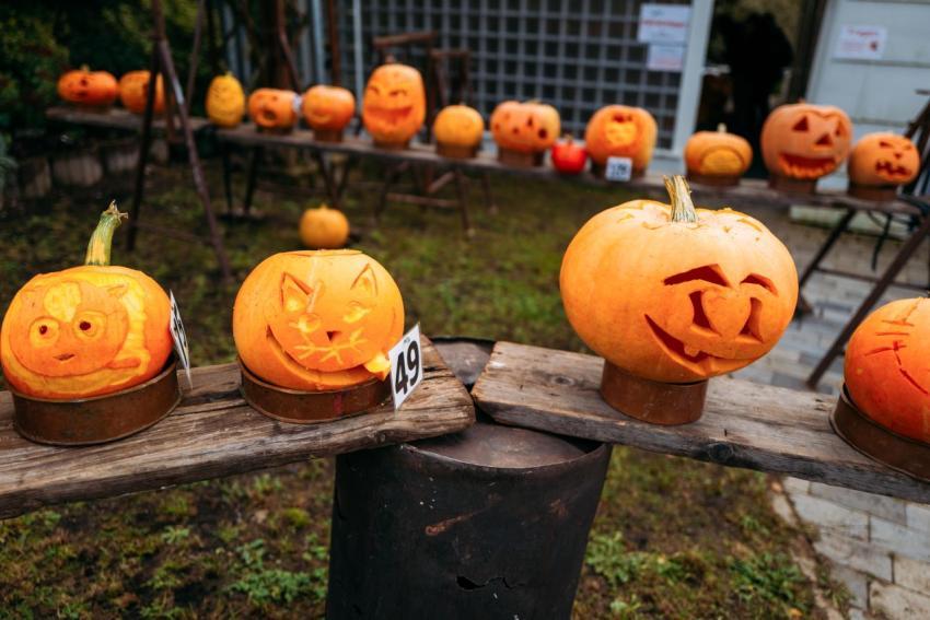 Kürbisschnitzen 14 10 2023  17