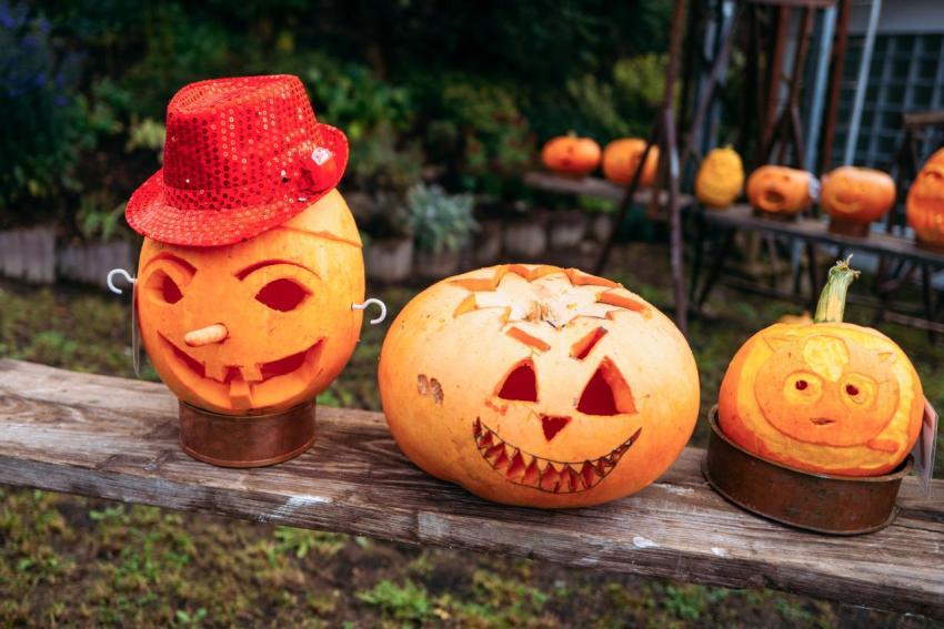 Kürbisschnitzen 14 10 2023  16