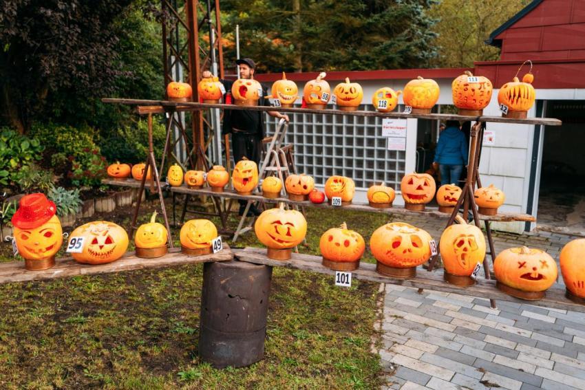 Kürbisschnitzen 14 10 2023  29