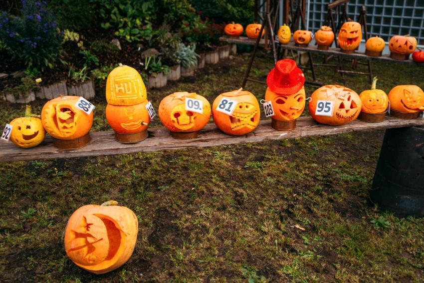 Kürbisschnitzen 14 10 2023  34