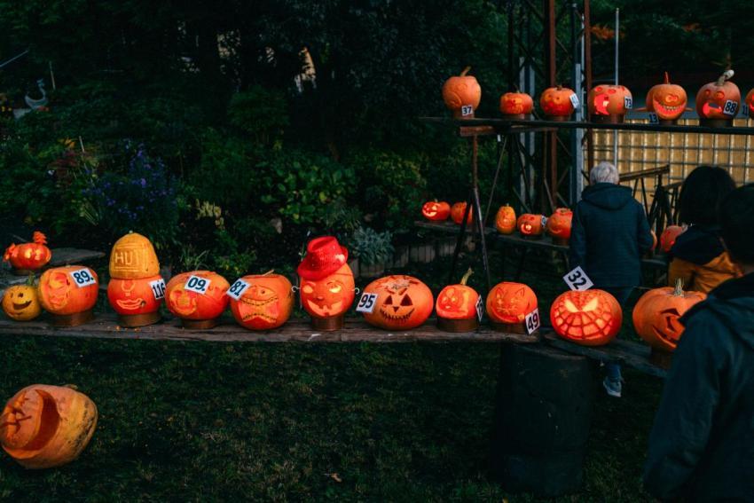 Kürbisschnitzen 14 10 2023  46