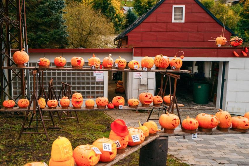 Kürbisschnitzen 14 10 2023  38