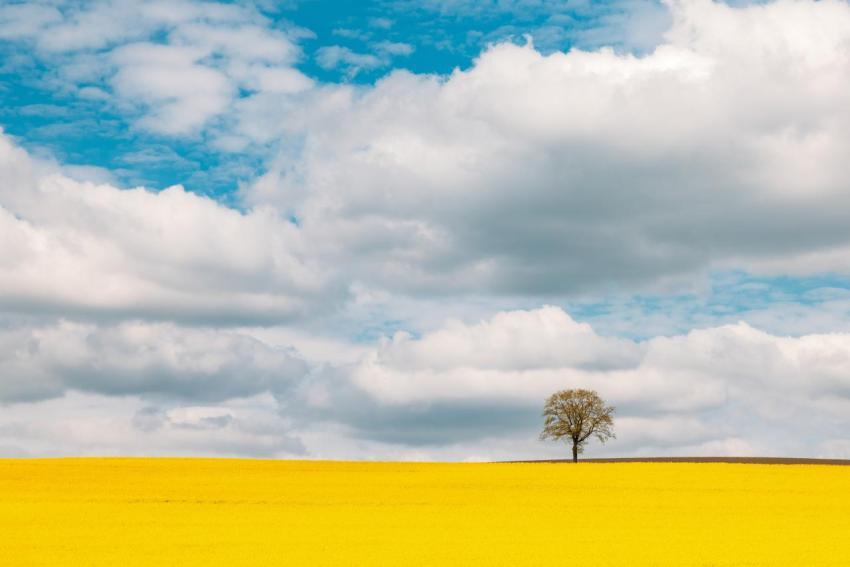 Waldgottestdienst 18 05 2023 038