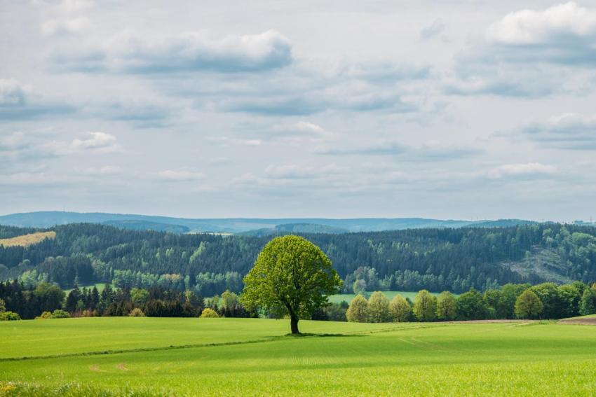 Waldgottestdienst 18 05 2023 003