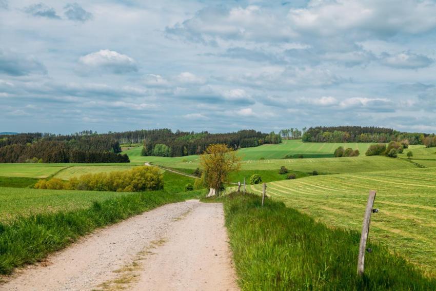 Waldgottestdienst 18 05 2023 025