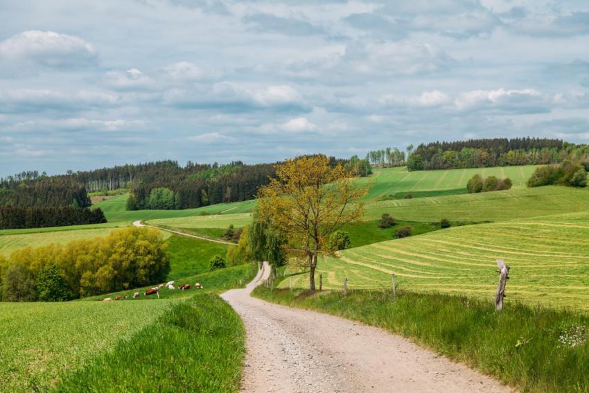 Waldgottestdienst 18 05 2023 002