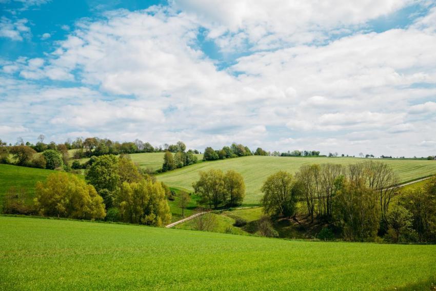 Waldgottestdienst 18 05 2023 026