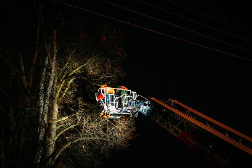 FW Linde Seilergasse 04