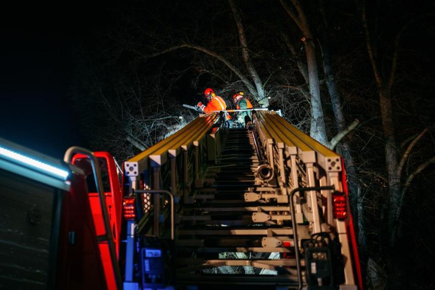 FW Linde Seilergasse 15