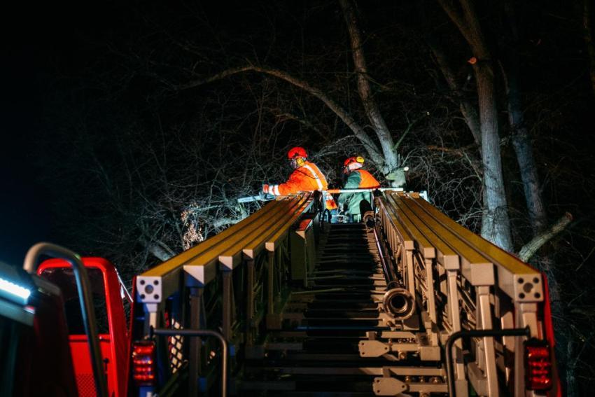 FW Linde Seilergasse 14