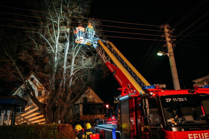 FW Linde Seilergasse 03