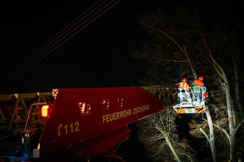 FW Linde Seilergasse 16