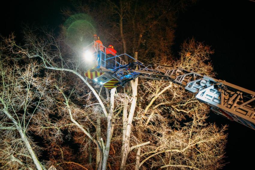 FW Linde Seilergasse 20