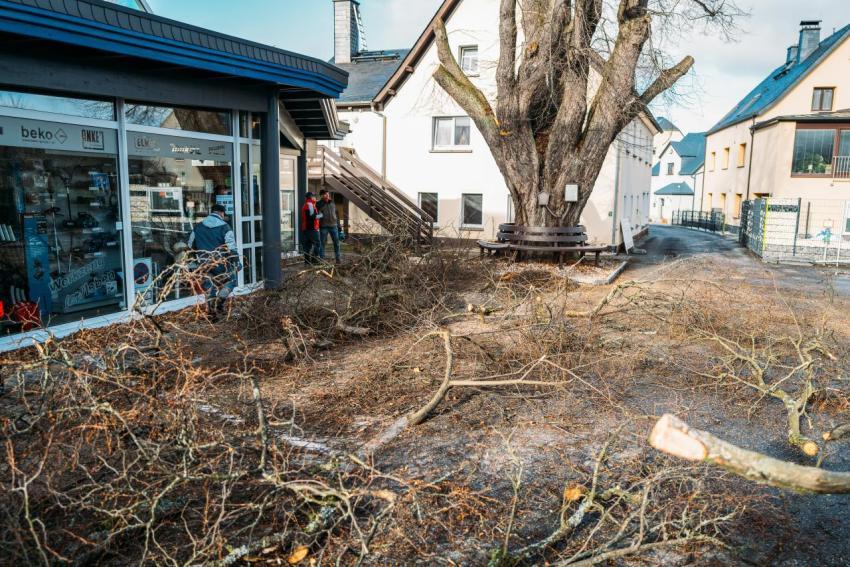 FW Linde Seilergasse 34