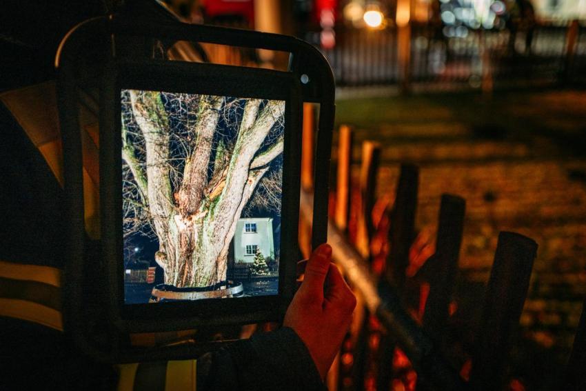 FW Linde Seilergasse 08