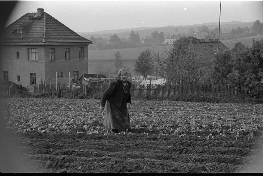 0074 Richterhilf beim Kraut pflanzen