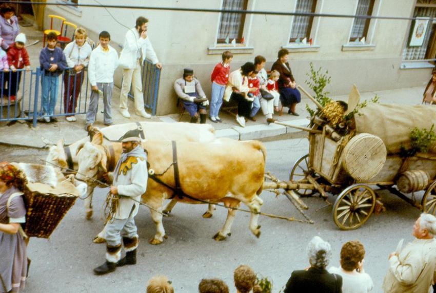 1988 Schul und Heimatfest 200
