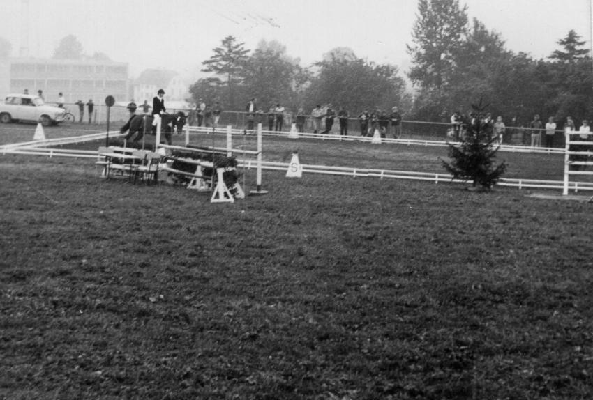 1988 Reitturnier 002