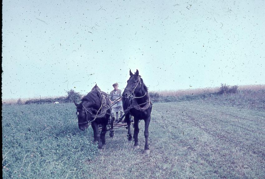 Albin Loos Gespann 1966