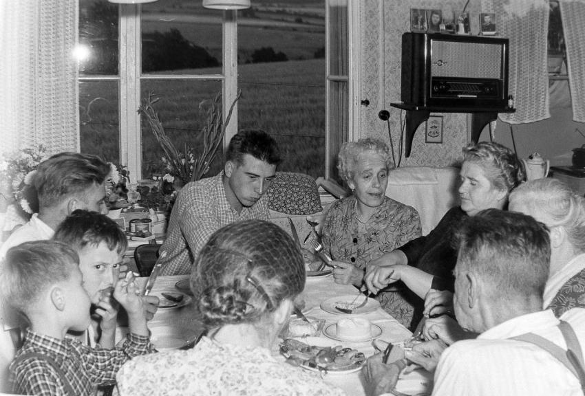 Fotoarchiv Pilz 0006