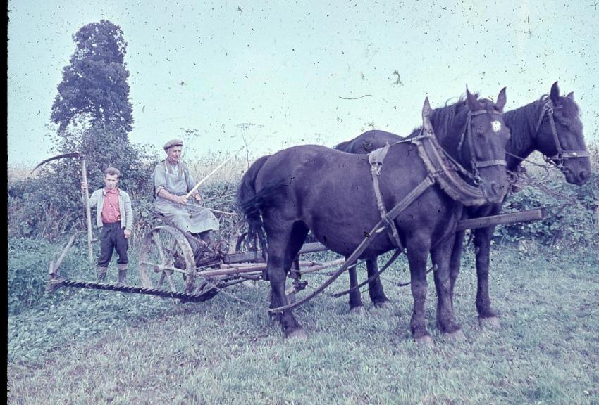 Albinu GottfriedLoos1966