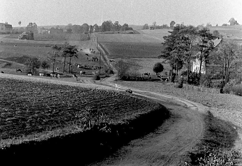 Muehle Muehlteich 003