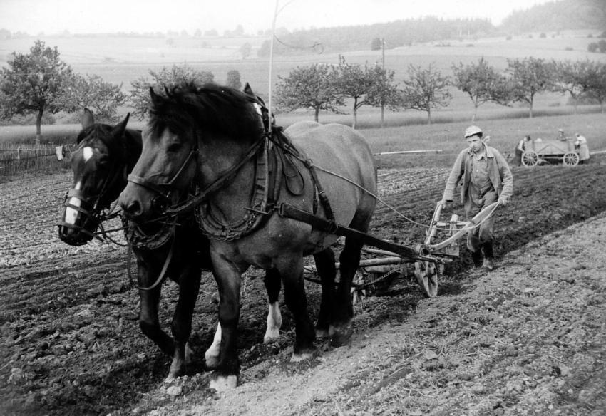 0073 Richterhilf Haselbach Fritz