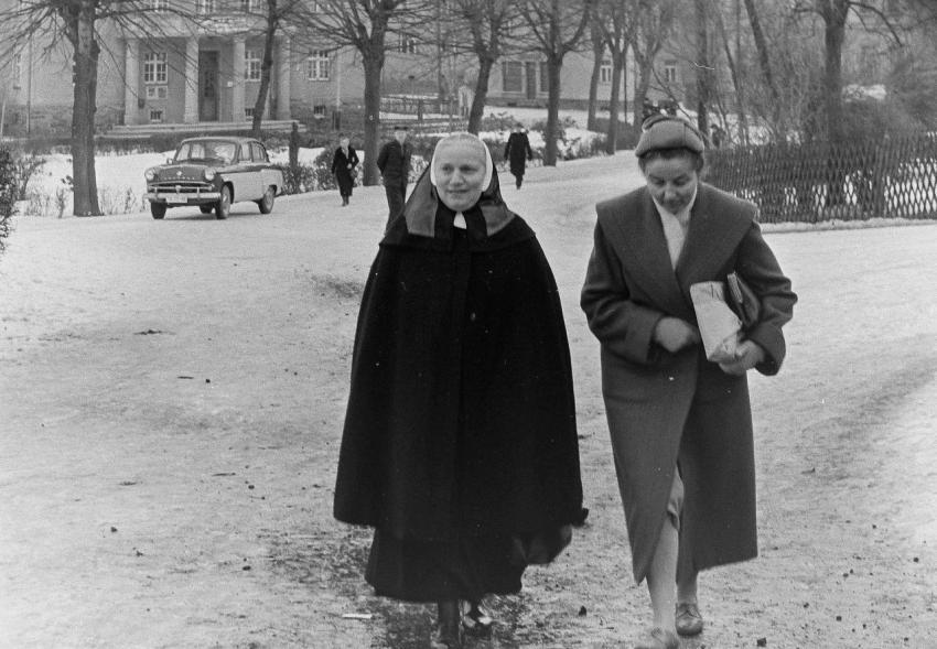 Fotoarchiv Pilz 0110