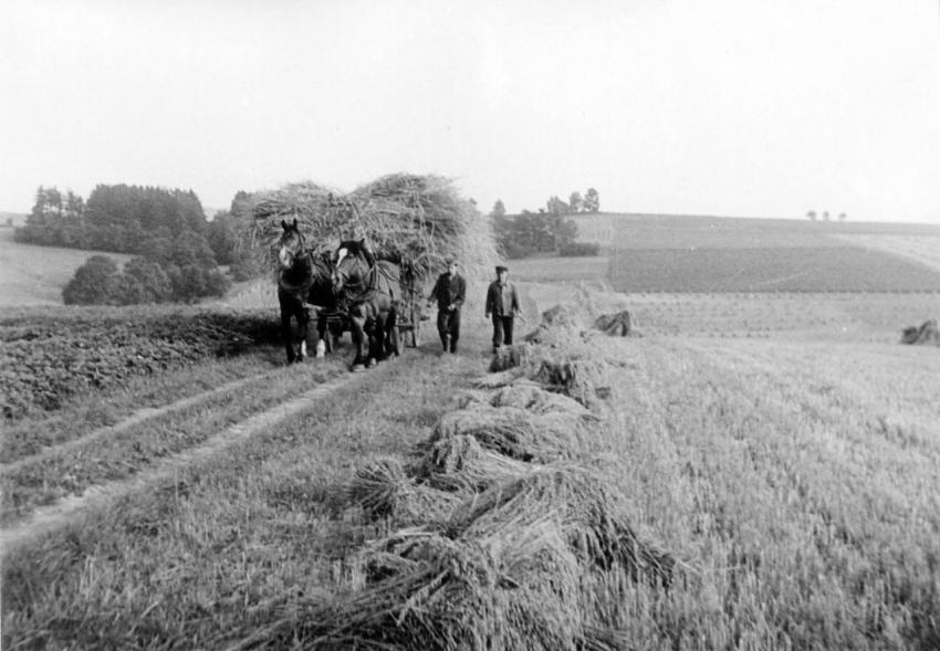 0126 Richterhilf Peter Rudolf