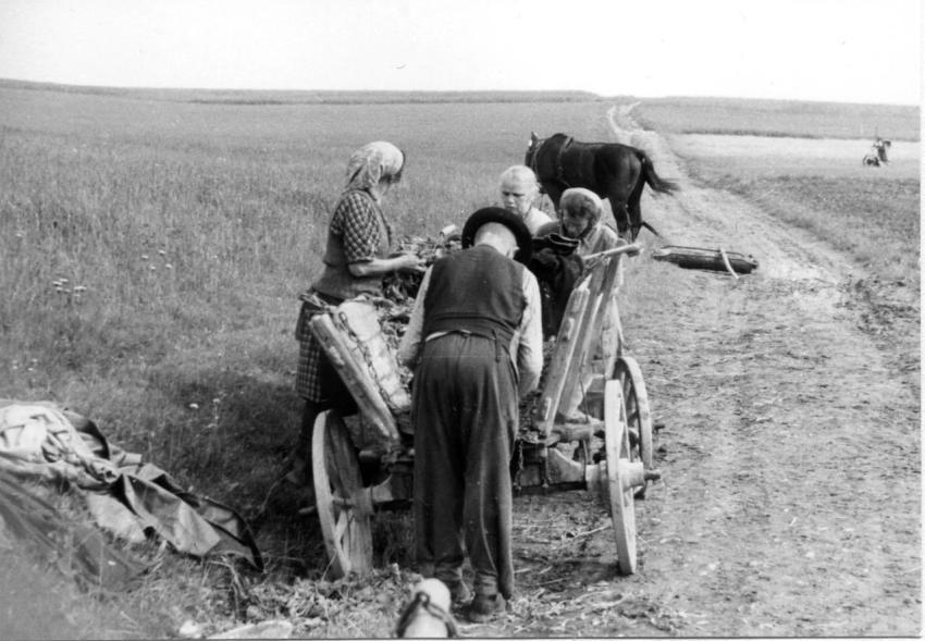0072 beim Kraut pflanzen  Richterhilf Oswald und Hilda