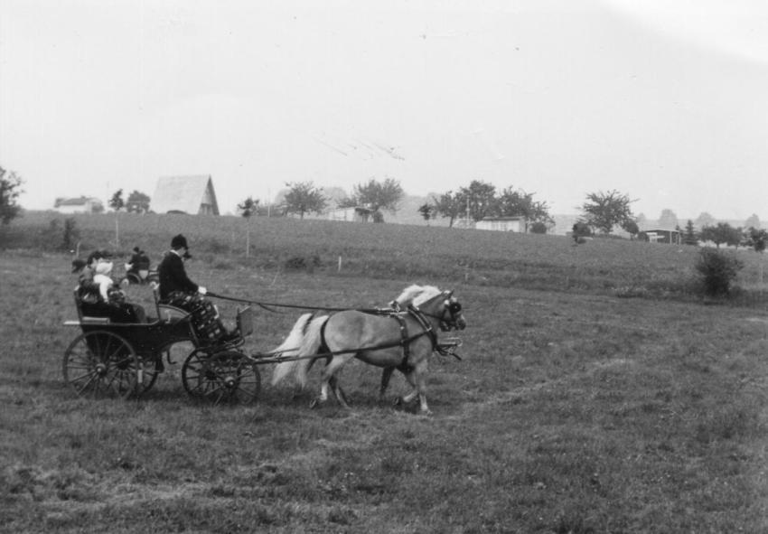 1988 Reitturnier 019