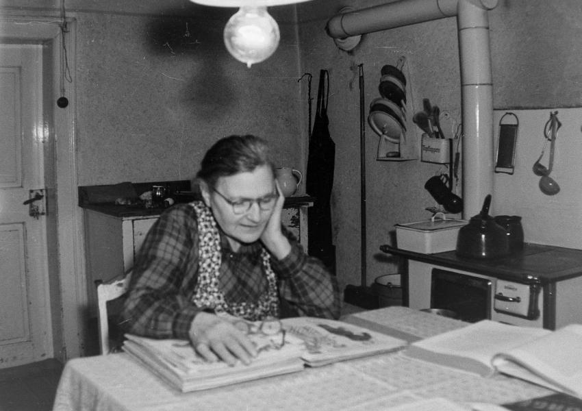 Fotoarchiv Pilz 0114