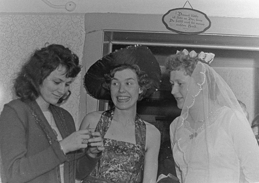 Fotoarchiv Pilz 0163