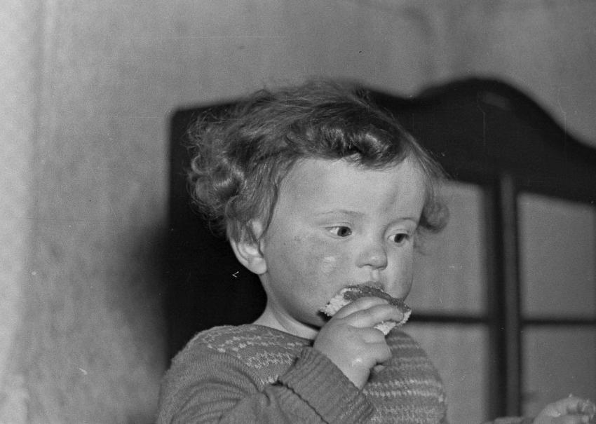 Fotoarchiv Pilz 0017