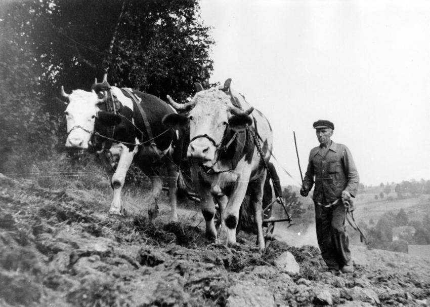 0029 Albin Meier Grunau