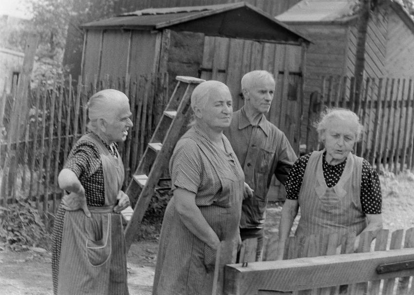 Fotoarchiv Pilz 0010