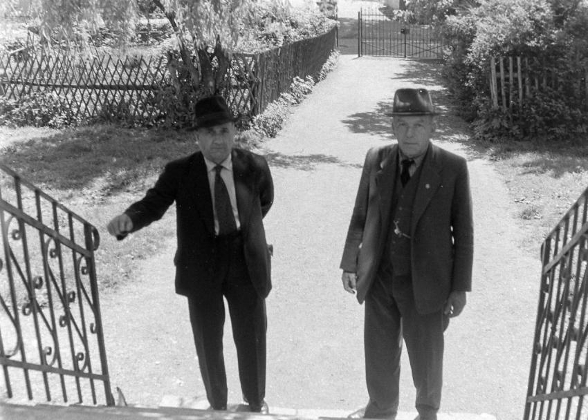 Fotoarchiv Pilz 0187