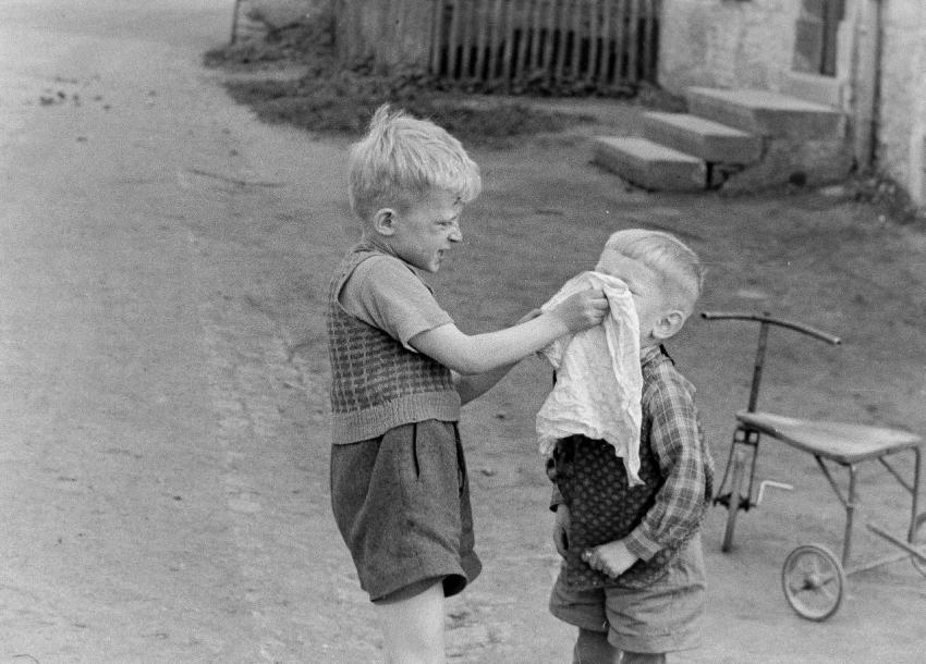 Fotoarchiv Pilz 0066