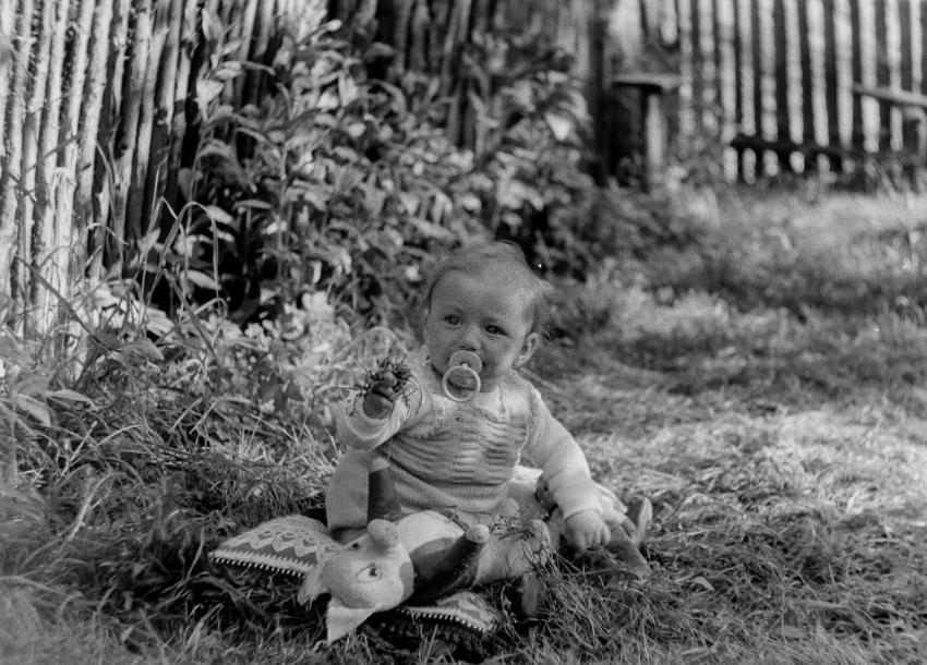 Fotoarchiv Pilz 0078