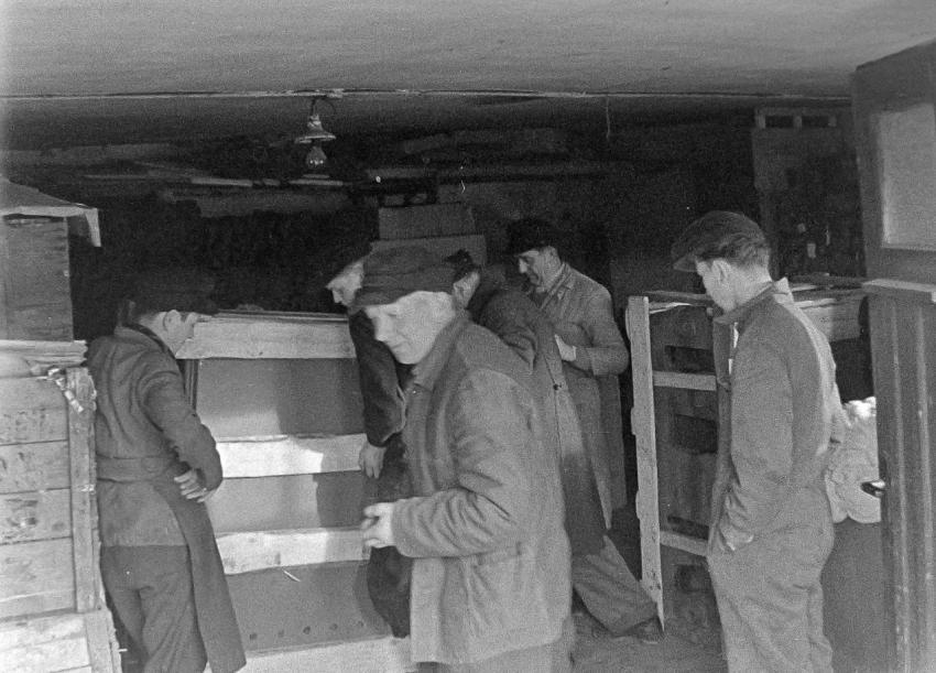 Strumpffabrik Haselbach 00308