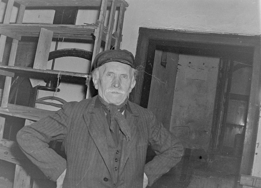 Fotoarchiv Pilz 0149