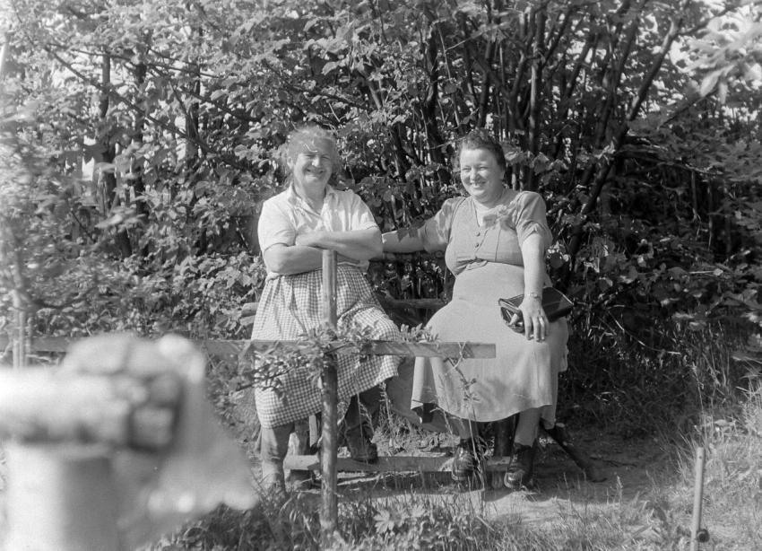 Fotoarchiv Pilz 0189