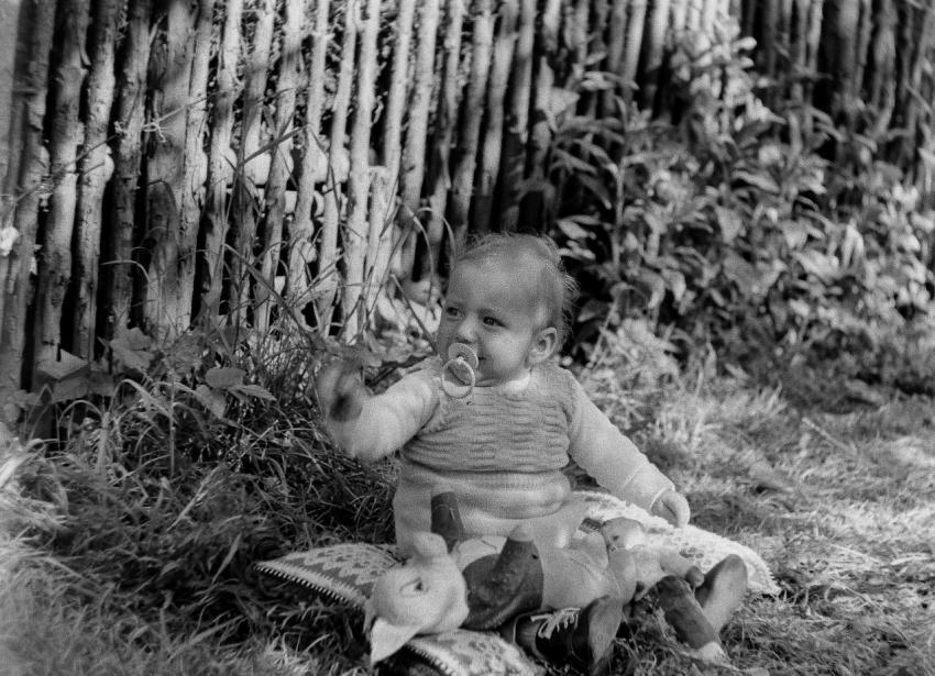 Fotoarchiv Pilz 0077