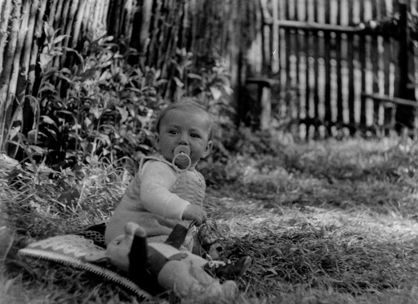 Fotoarchiv Pilz 0080