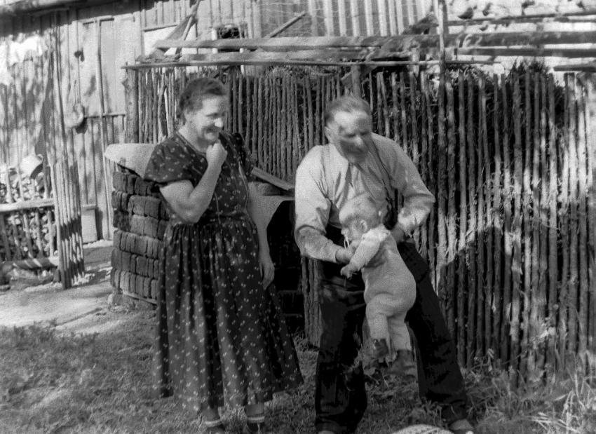 Fotoarchiv Pilz 0082