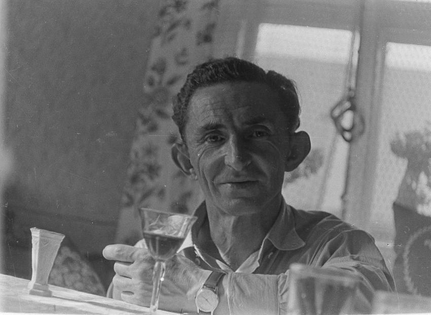 Fotoarchiv Pilz 0103