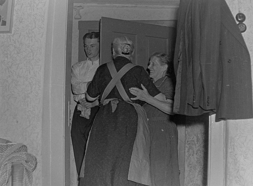 Fotoarchiv Pilz 0179