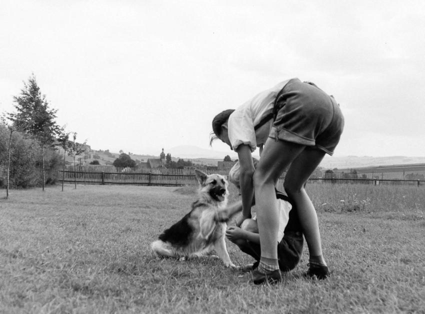 Fotoarchiv Pilz 0020