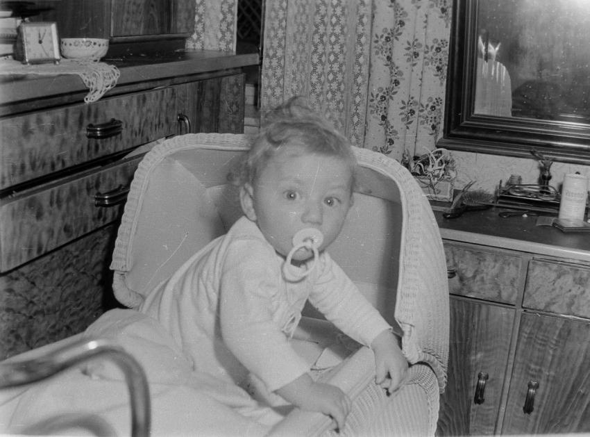 Fotoarchiv Pilz 0015