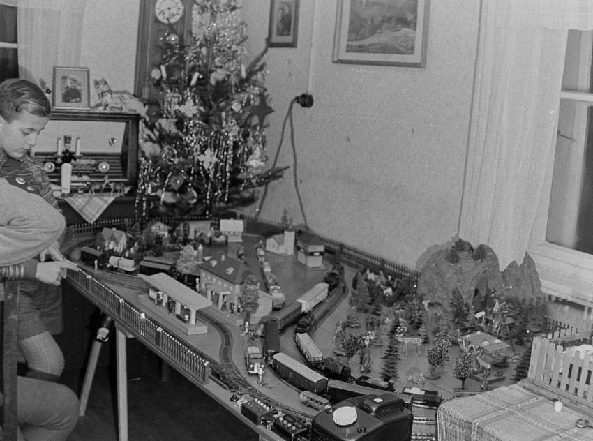 Fotoarchiv Pilz 0063